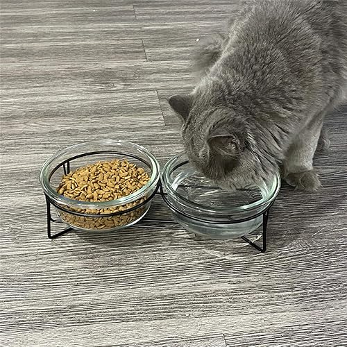 Miniatura 5 de Cuencos elevados de vidrio doble para gatos o perros pequeños con soporte de metal para alimentos y platos de agua para mascotas, 20 onzas