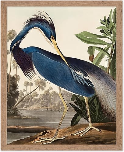 Miniatura 378 de Poster Master Póster vintage de flamenco americano, estampado retro de flamenco rosa, arte de pájaro, regalo para él, ella, amante de los animales,