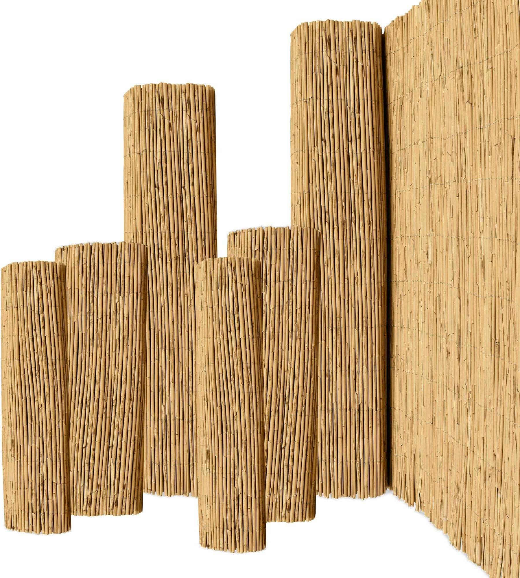 Sol Royal SolVision S36 Reeds Privacy Screen 100 x 300 cm - Durable and Weather-Resistant 100% Reed Privacy Screen Indoor and Outdoor for Balcony, Patio, Garden - Wind Protection and Sun Protection