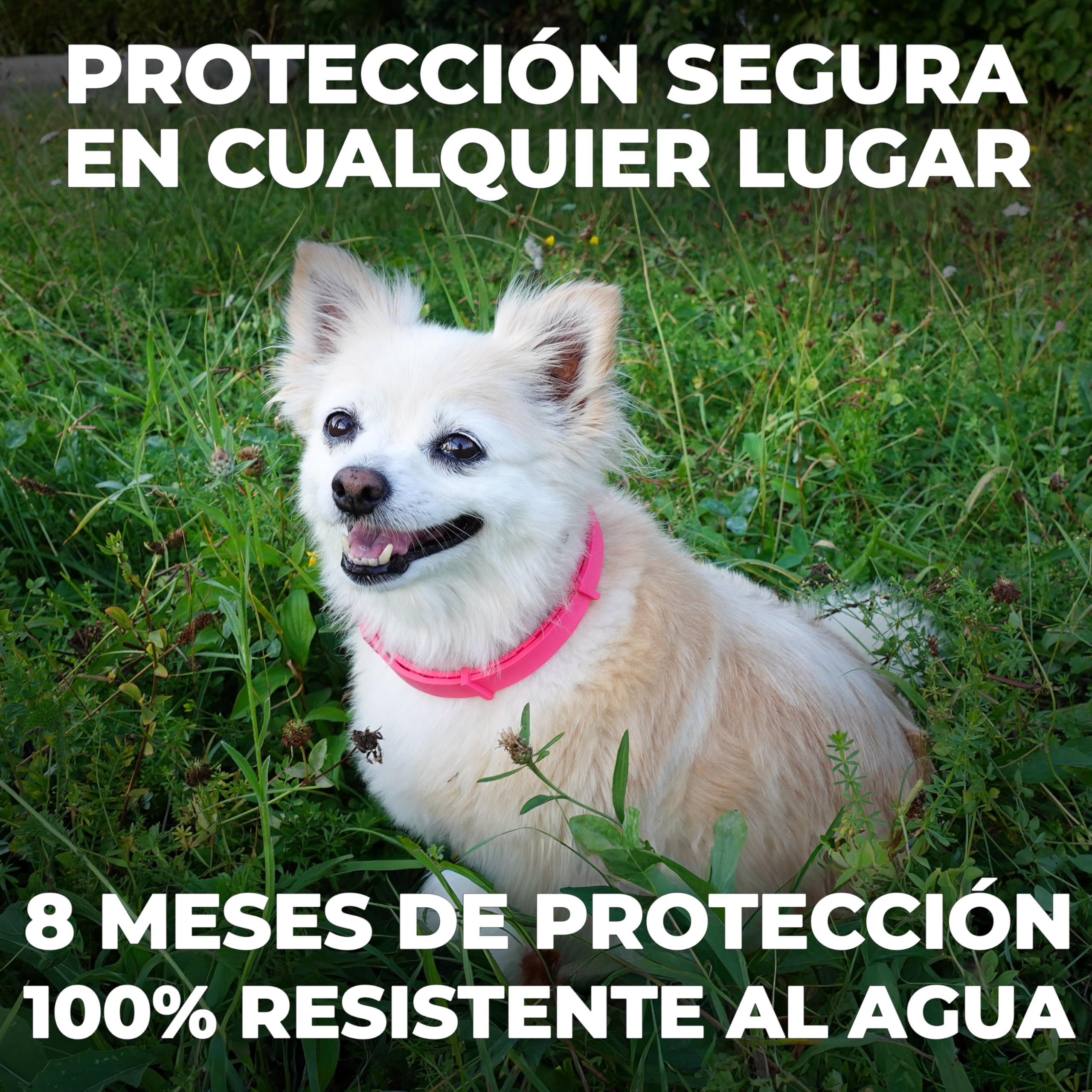 Monked | Collar antipulgas y antigarrapatas para Perros Natural sin químicos | hasta 8 Meses de protección | Ajustable para Todos los tamaños | Protección Duradera contra garrapatas (Grün)