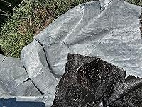 Review Image by maria maria