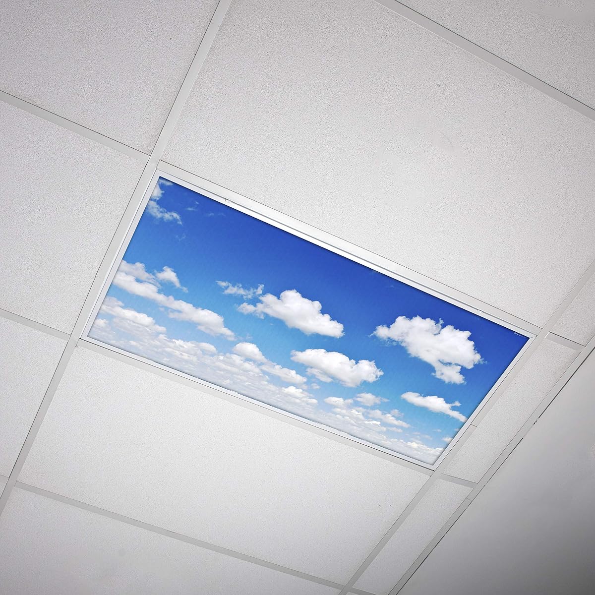 Octo Lights Fluorescent Light Covers, Acrylic, 2X4 (22.38In X 46.5In), Model