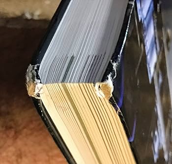 アンティックレプリカ絵本 アンティックレプリカ絵本 ブルーノ』特設サイト