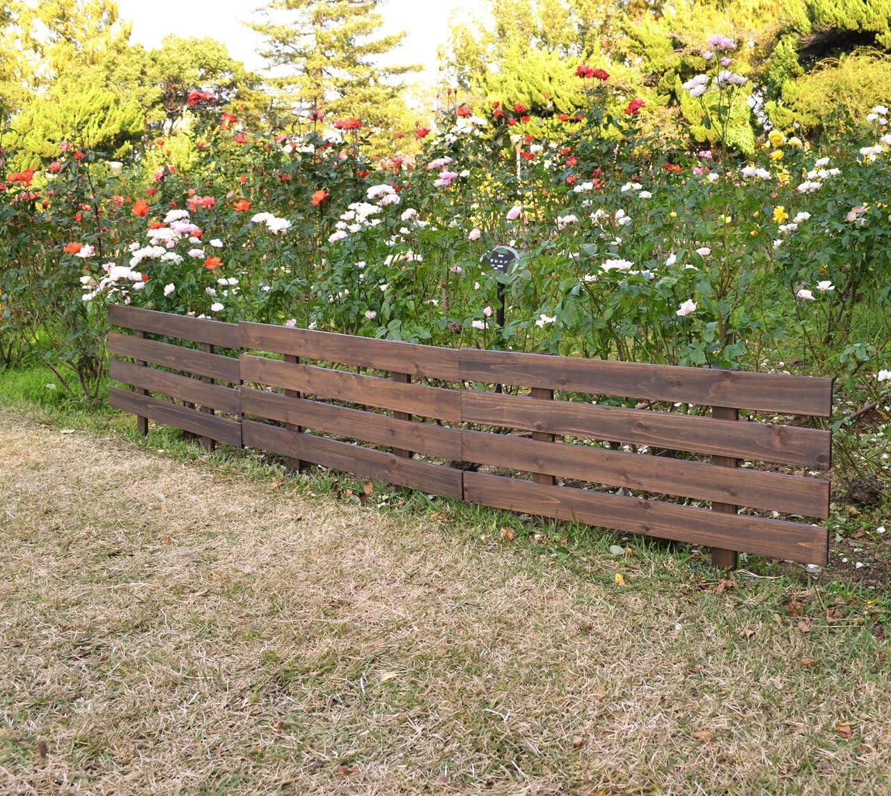 Amazon ガーデンガーデン 天然木製 花壇フェンス ボーダーフェンス スティック レギュラーサイズ 1枚 ダークブラウン 幅80cm 高さ49cm Jsbf 8049dbr フェンス 垣