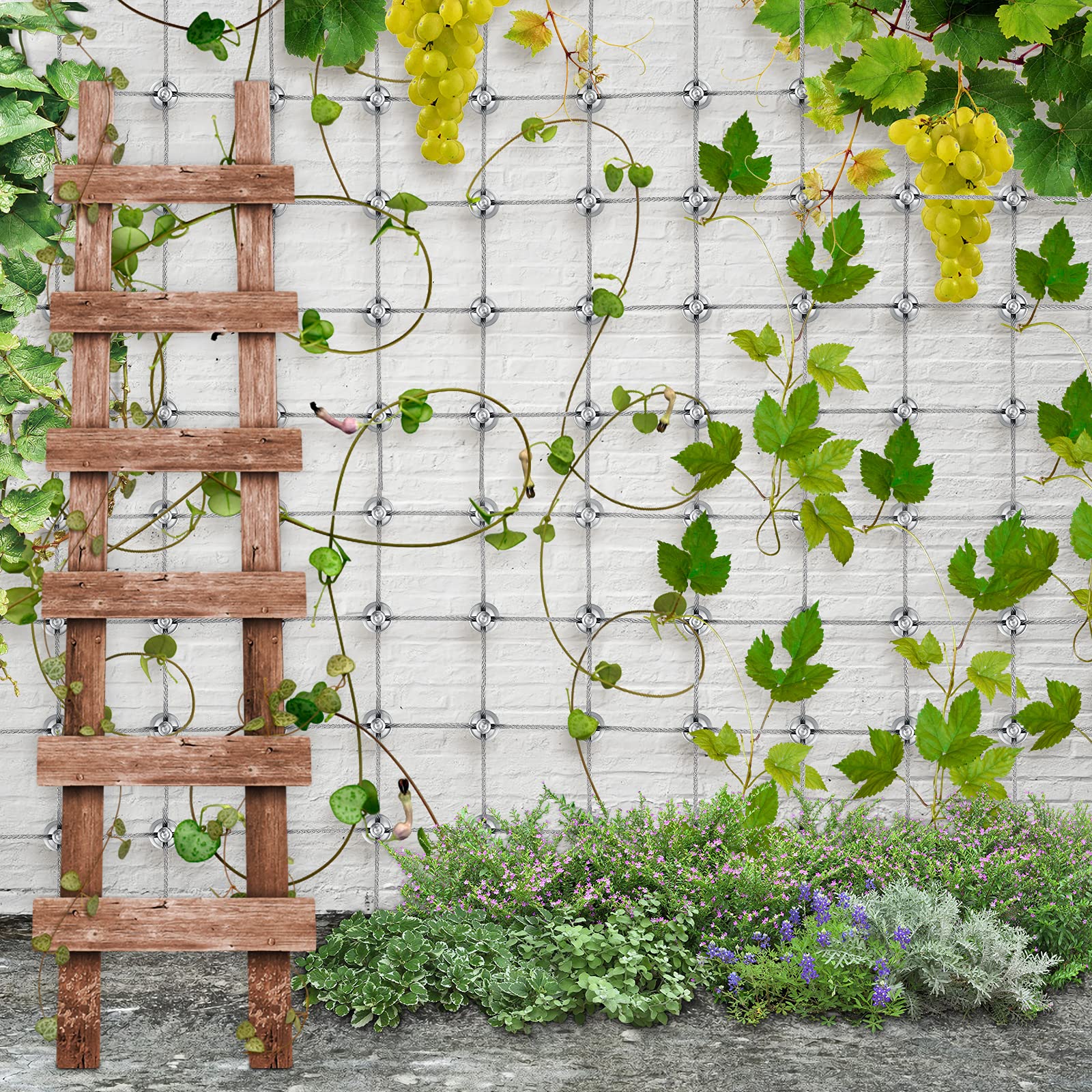 Marco para Trepar Plantas Soporte Enrejado Plantas Trepadoras, Cuerda de Acero Inoxidable de 16 M, Kit de Fijación de Enrejado Alambre Jardín Hogar