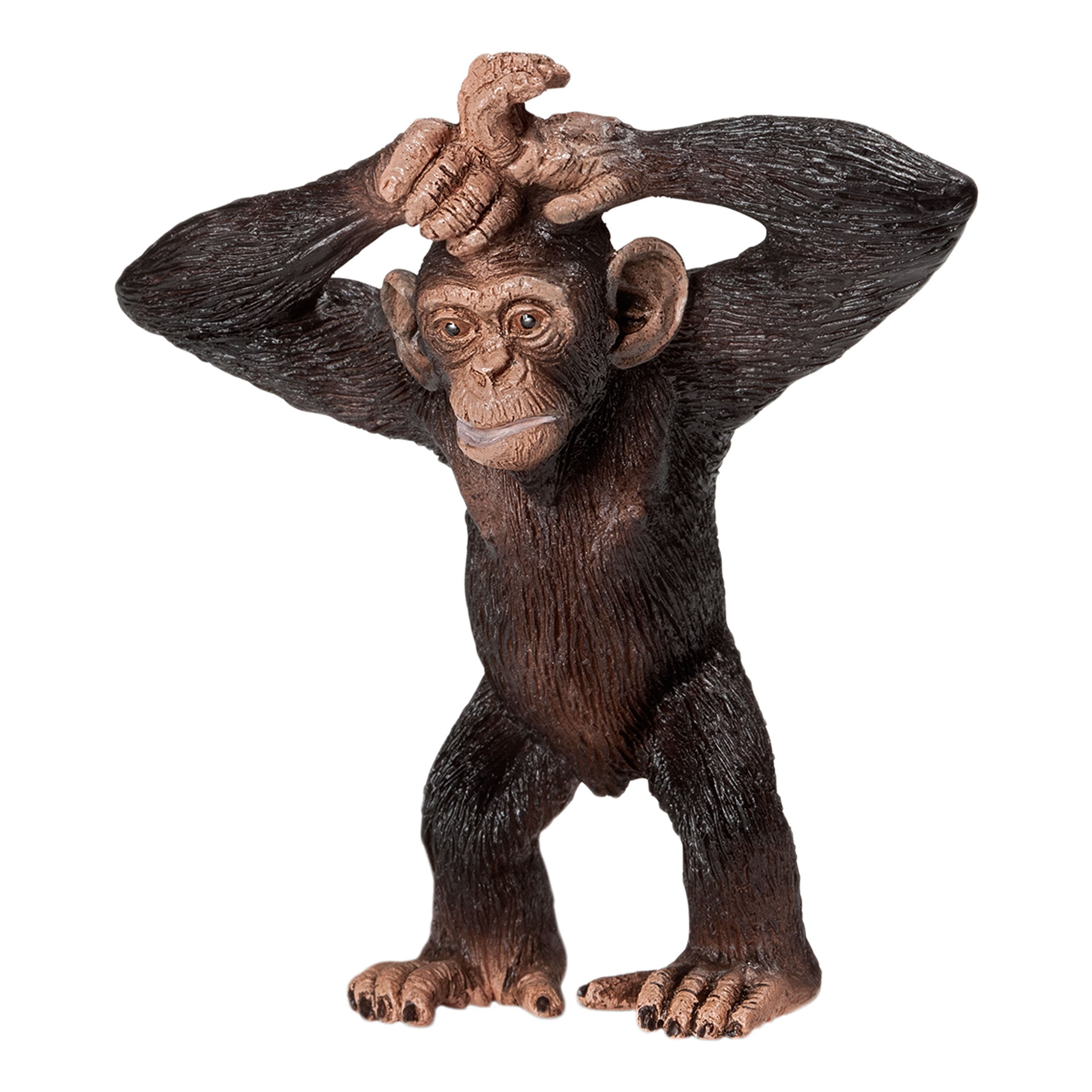 Amazon.co.jp: Schleich シュライヒ ワイルドライフ チンパンジー(仔