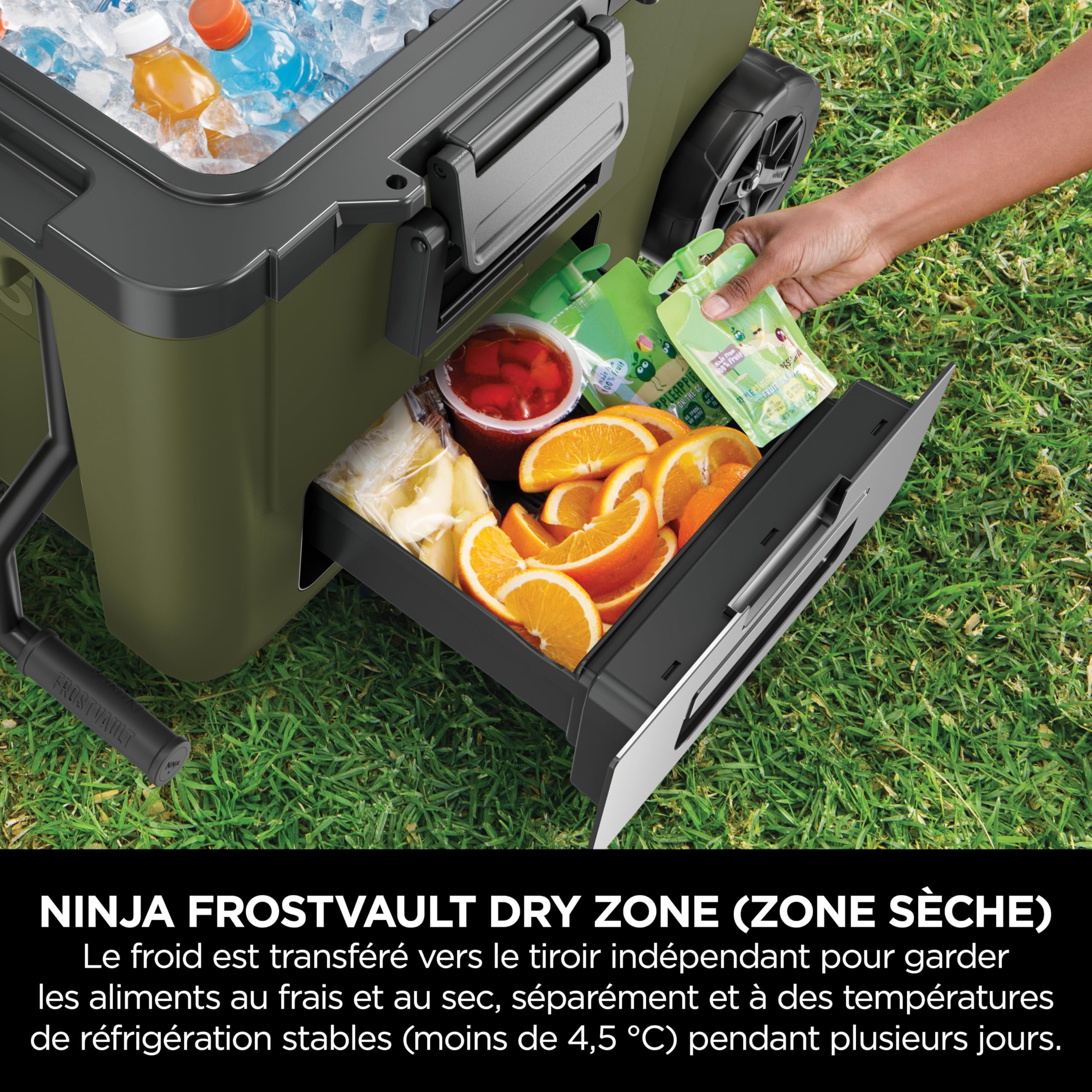 Ninja FrostVault Glacière Robuste et Isotherme, avec Roues FB245AMZEUUKGN | tiroir destockage à sec Dry Zone, conserve la glace plusieurs jours