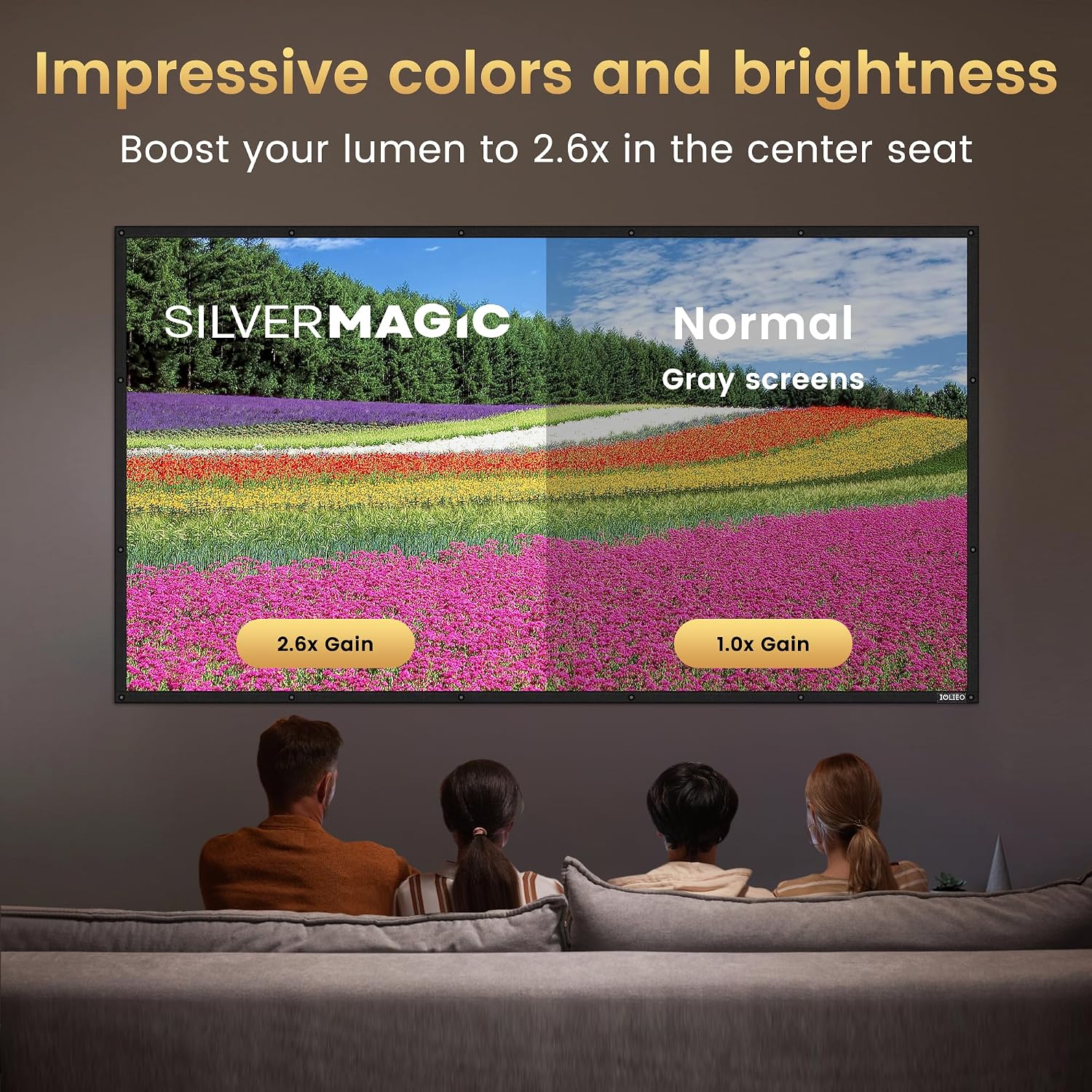 ALR Projector Screen for Standard Throw- Wall Mounted - High Contrast 70% ALR High Brightness 2.7X Gain - G-120 inch 16:9 Gray Screen - by IOLIEO