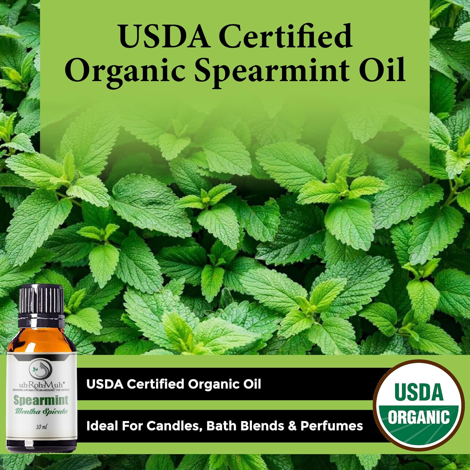 Spearmint Organic Essential Oil - USDA Certified Pure Steam Distilled Mentha Spicata Fresh Minty Aromatic Oil for Diffusers Skincare Natural Perfumery DIY Beauty Blends Home Fragrance - India - 10 ml