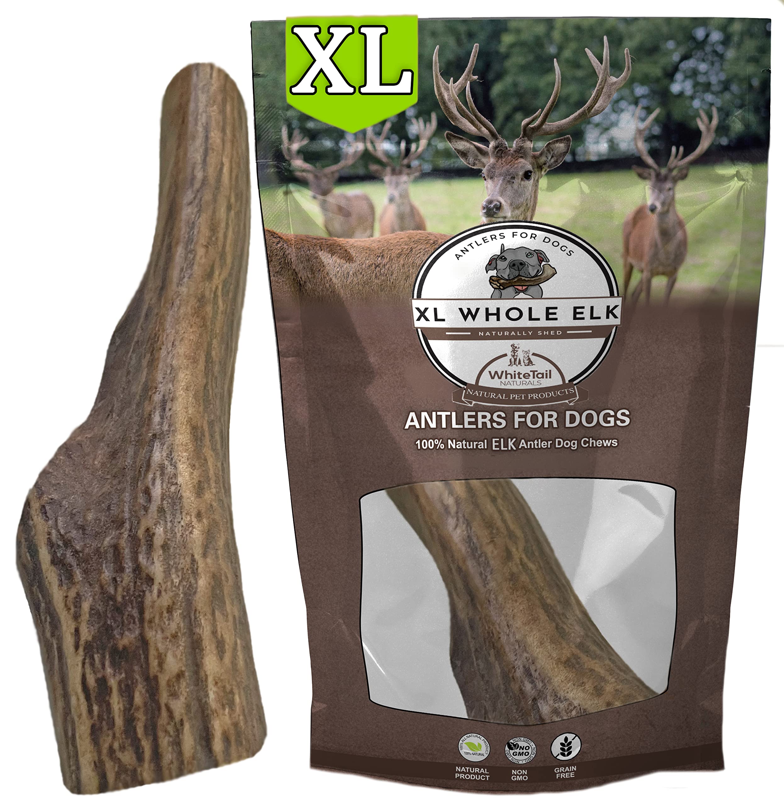 Are Elk Antlers Safe For Small Dogs