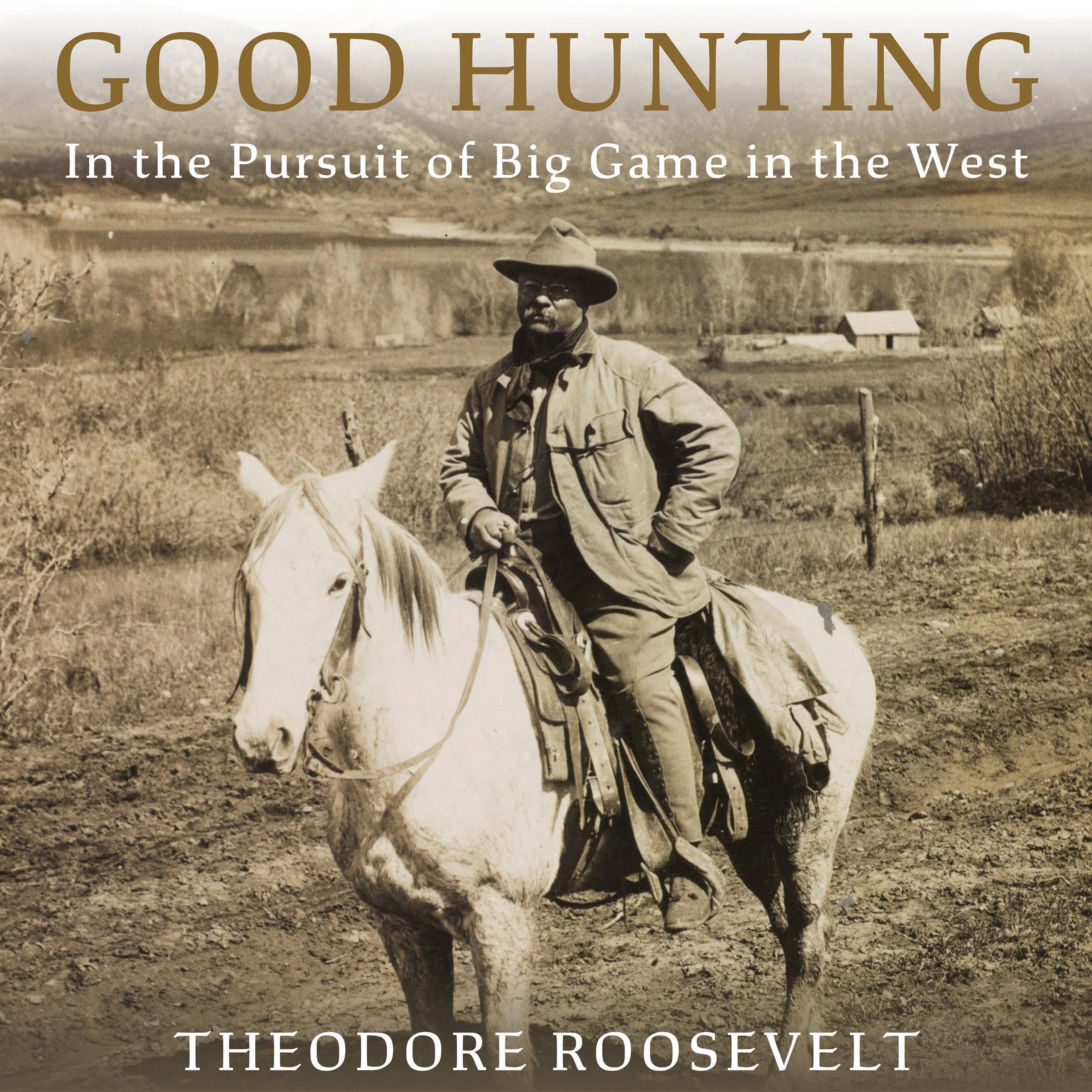 Cover art for Good Hunting