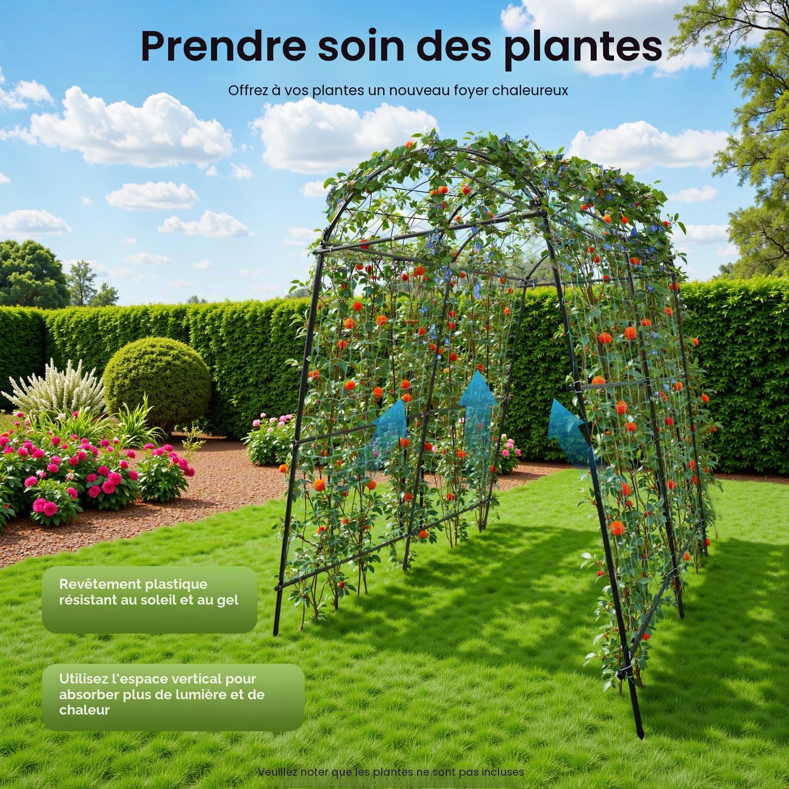 Arche à rosiers en métal solide - Treillis métallique - Arche de jardin - Grille pour plantes grimpantes - Pour jardin et potager - Capacité de charge : 35 kg - 1,15 x 1,83 x 2,3 m
