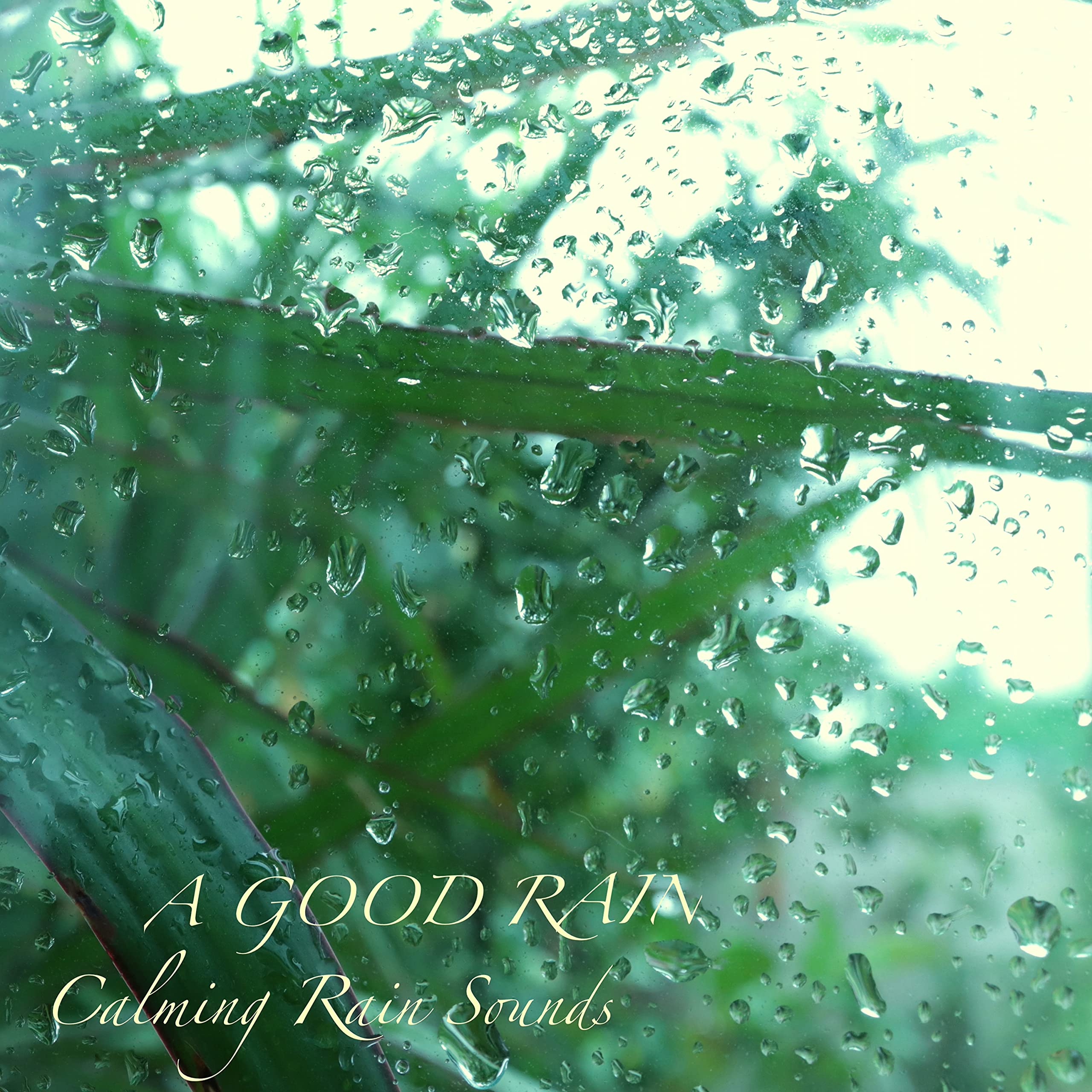 A Good Rain