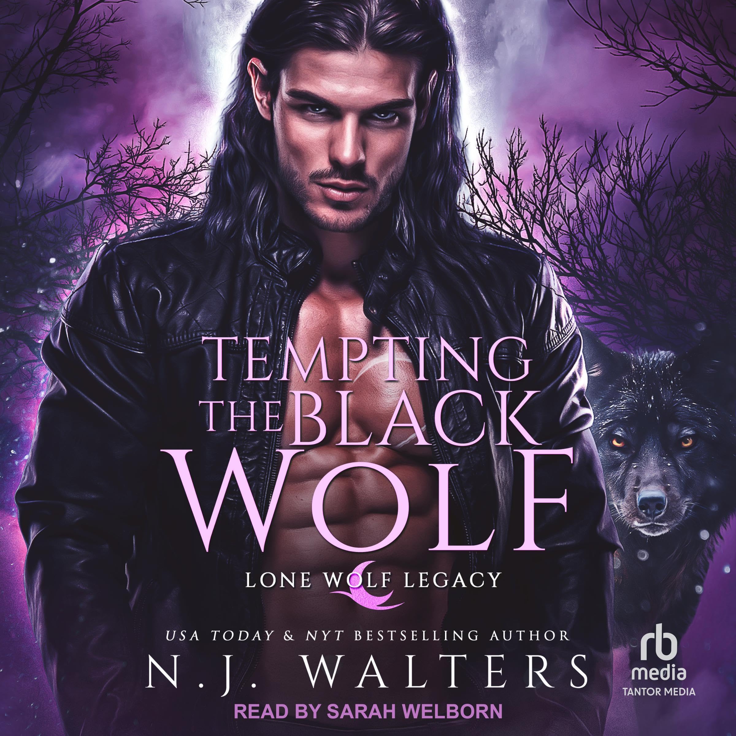 Cover art for Tempting the Black Wolf