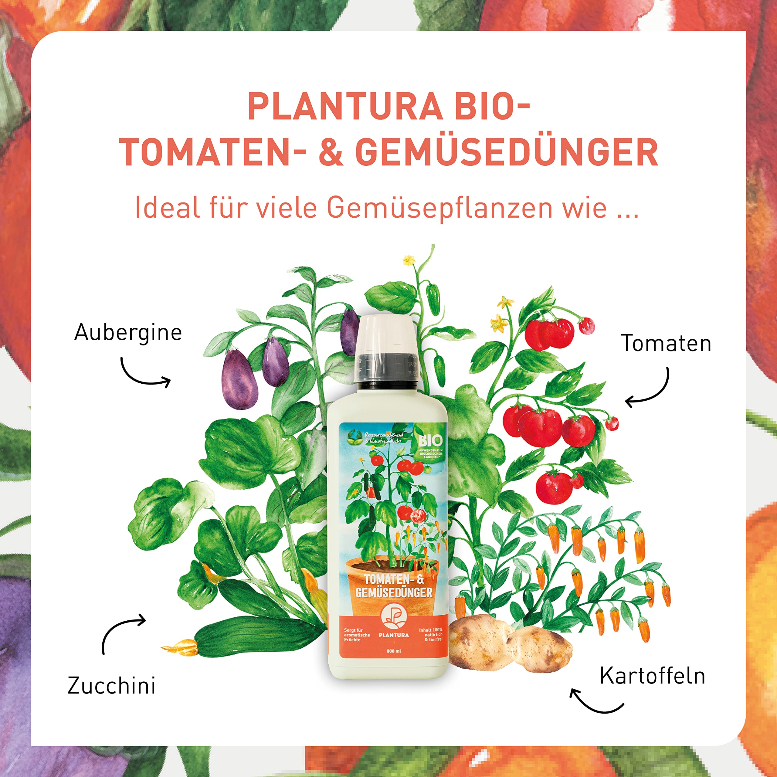 Plantura Bio Tomaten- & Gemsednger, 2er Set, Bio Flssigdnger fr Gemse,  1,6 Liter : Amazon.de: Garten