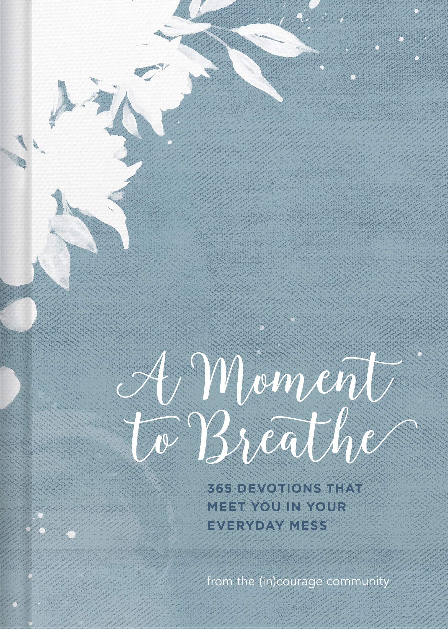 Moment to Breathe, A: 365 Devotions that Meet You in Your Everyday Mess