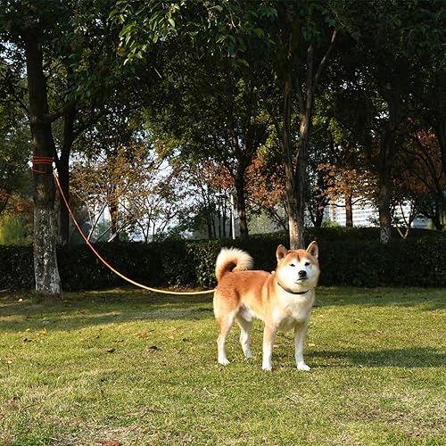 Miniatura 6 de ZALER Correa larga para perro, correa de entrenamiento de perros de 50 pies, 30, 20, 15 y 10 pies, correa de entrenamiento para perros, correa Negro