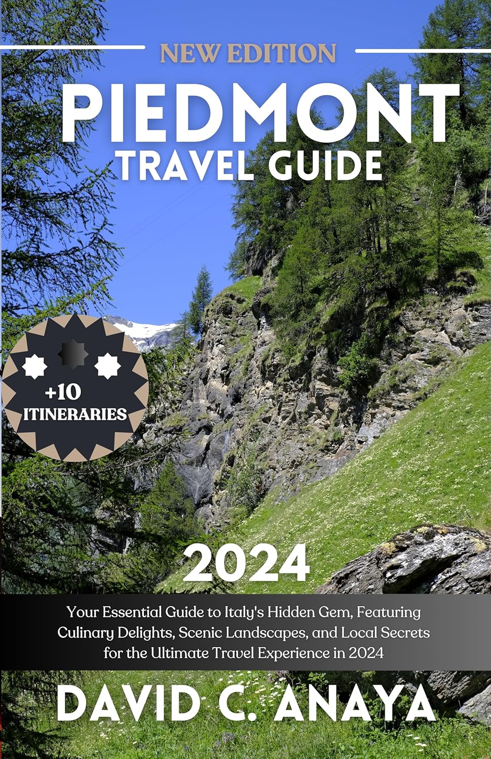 PIEDMONT TRAVEL GUIDE 2024 Your Essential Guide to Italy's(01)