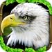 Eagle Simulator