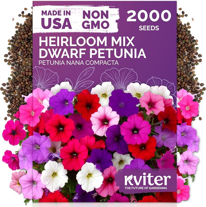 2,000 Mix Dwarf Petunia Heirloom Flower Seeds for Planting, Nana Compacta | Mini Petunia Annual Flower Seeds for Pots, Hanging Baskets, Containers, Indoor & Outdoor Garden, Attracts Pollinators