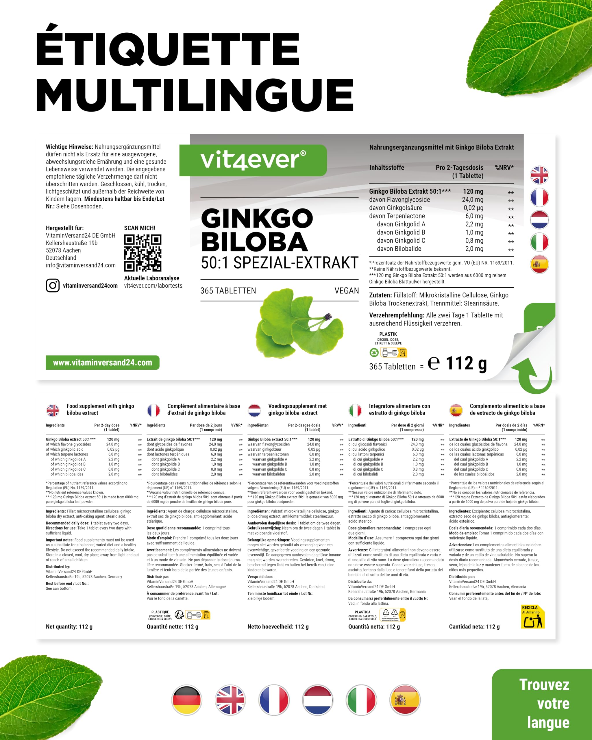 vit4ever Ginkgo Biloba 6000 mg - 365 Comprimés – Extrait Premium : avec Flavonoglycosides + Ginkgolides-Lactones Terpéniques & sans Acide Ginkgolique - Hautement Dosé – Vegan