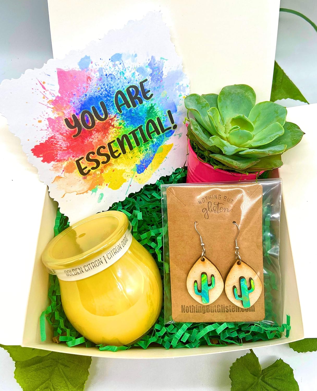 Essential Worker Gift Quarantine Gift Set Succulent