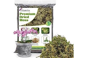 Orchid Sphagnum Moss: Superior Potting Mix for Thriving Plant Life