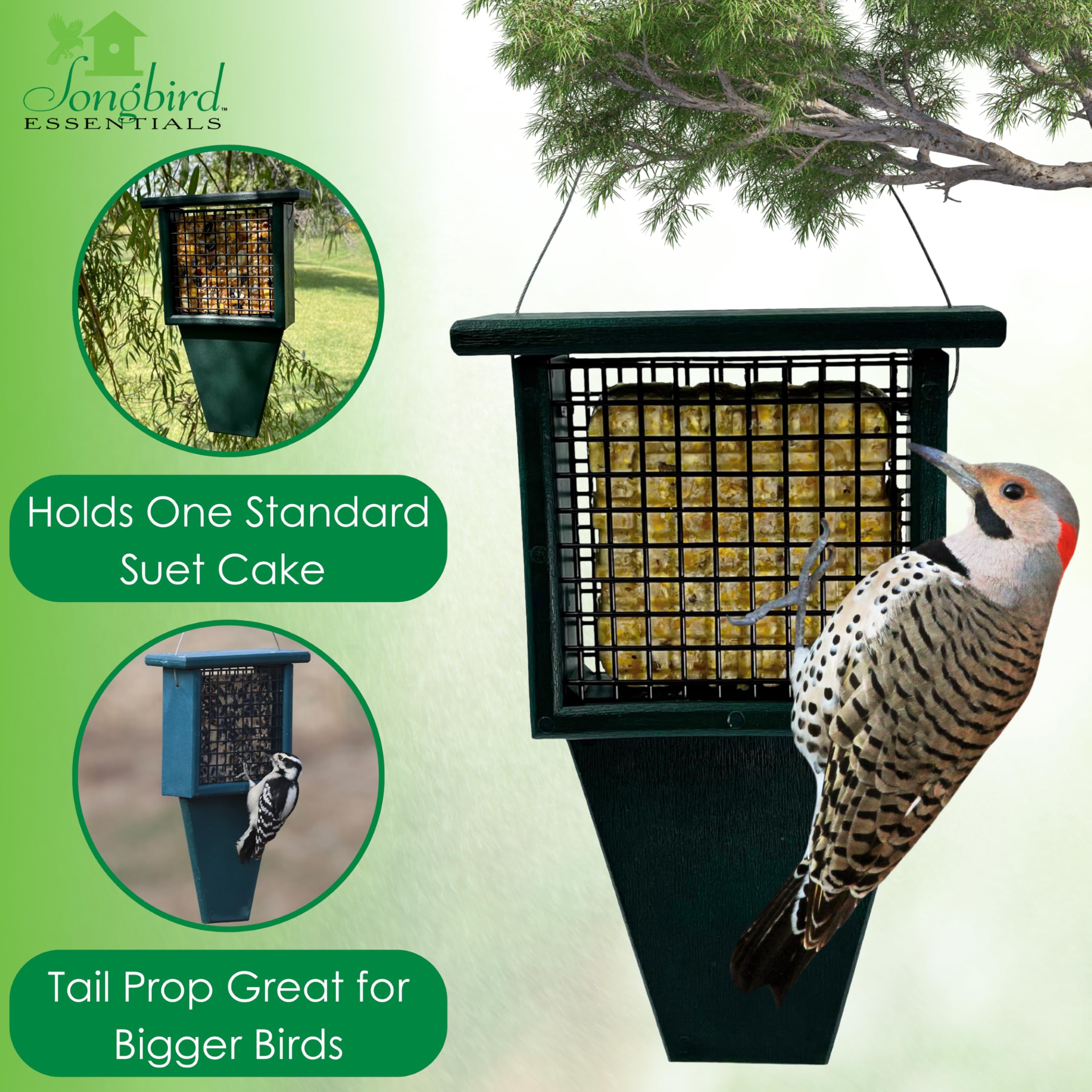 Songbird Essentials SERUBSF100H - Alimentador de sebo con Accesorio de Cola de 11.3 x 2.5 x 7.5 Pulgadas
