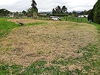 Review Image by Piglet Piglet