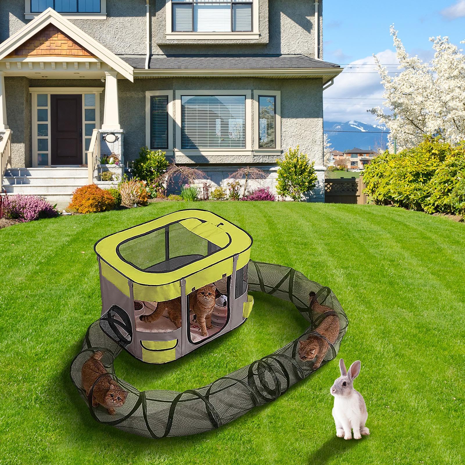 Outdoor Katzenzelt Geräumig, mit einfachem, als Spielzeug für gelangweilte