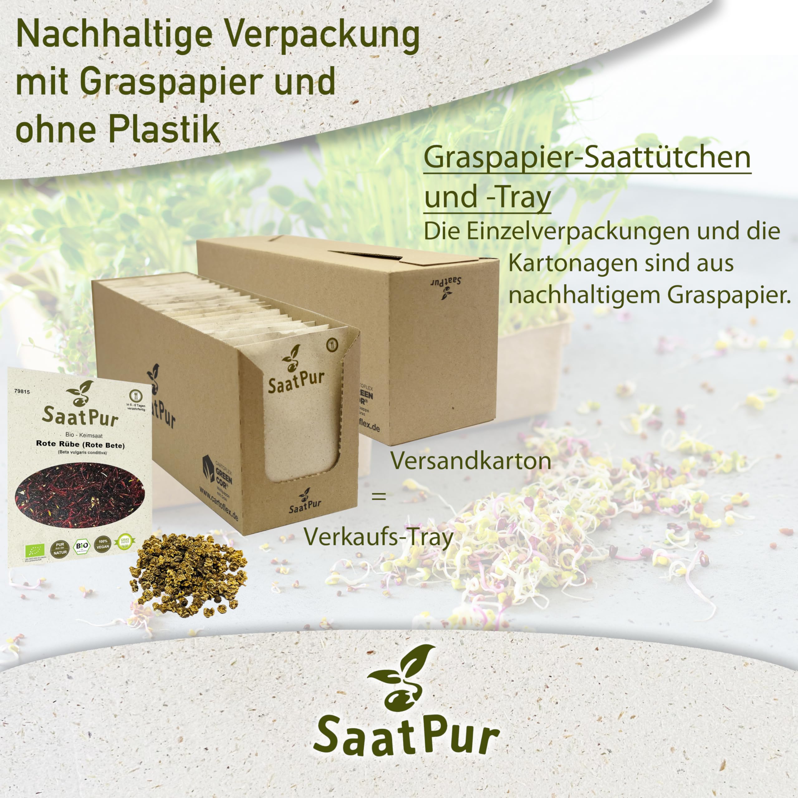 Rote Rübe BIO Keimsprossen von SaatPur - Sprossen, Microgreens - Rote Bete - Großes Tray mit 30 Portionstüten je 30g