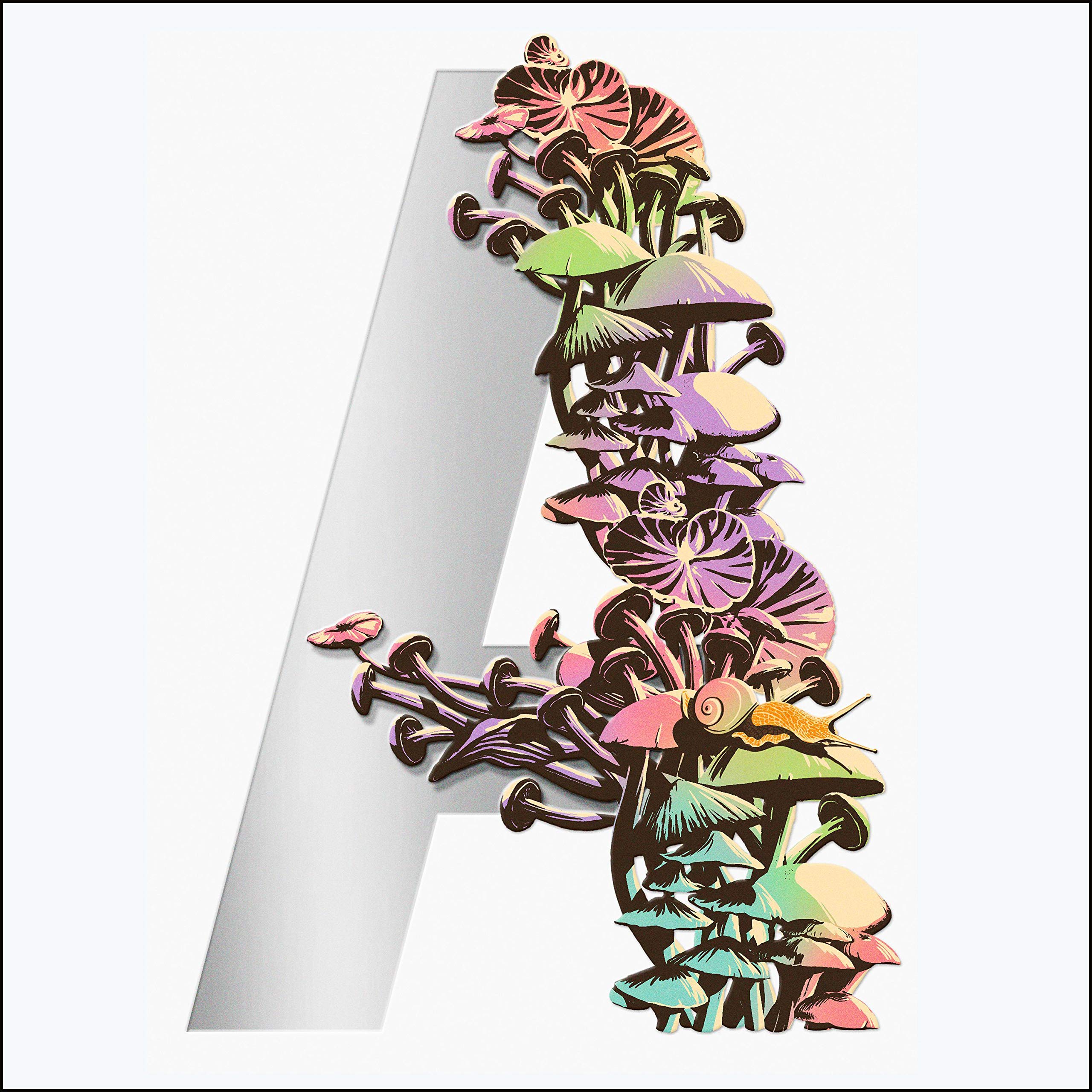 Cover art for Ambergris