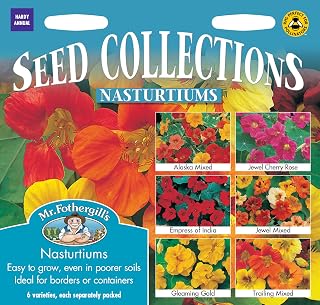 Mr Fothergill's 18127 Flower Seeds, Nasturtium Collection