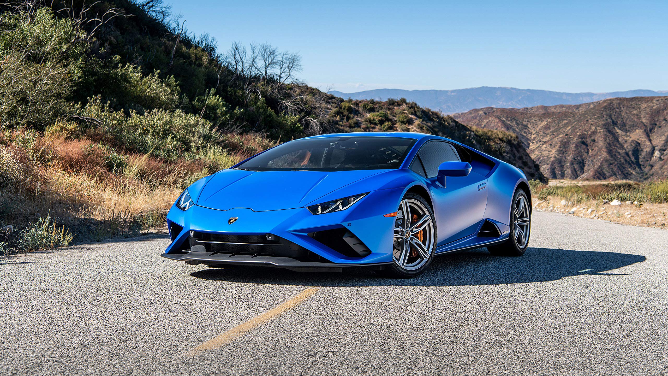Amazon.com: Iconic Arts Laminated 42x24 Poster: 2020 Lamborghini