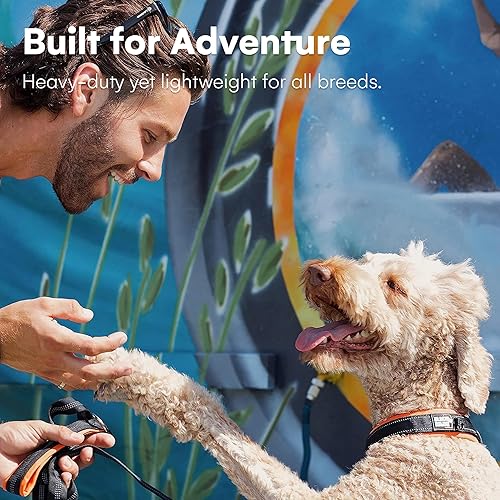 Miniatura 10 de Black Rhino - The Comfort Collar de neopreno ultrasuave acolchado para todas las razas - Resistente ajustable reflectante resistente a la intemperie