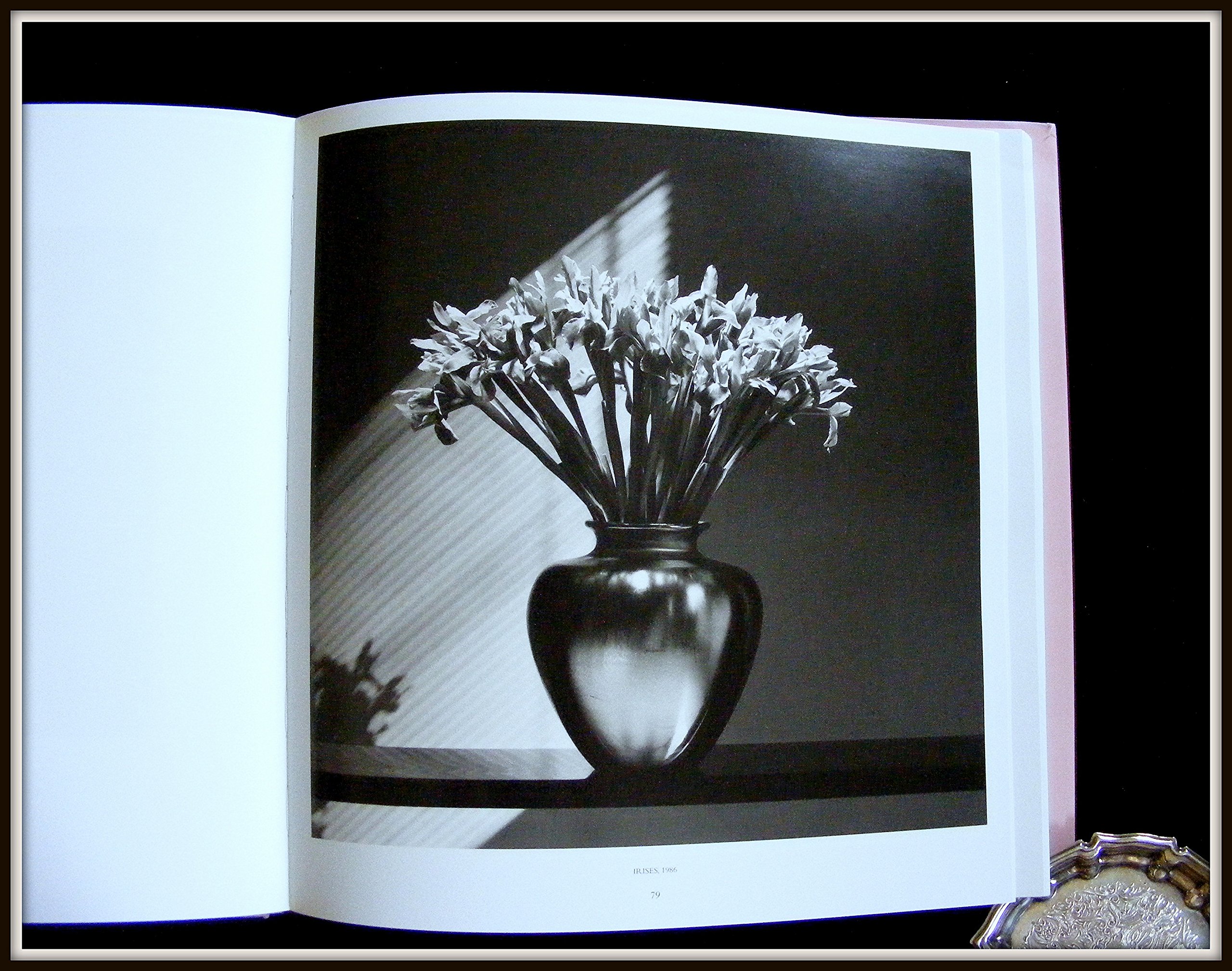 Pistils mapplethorpe 【公式通販】