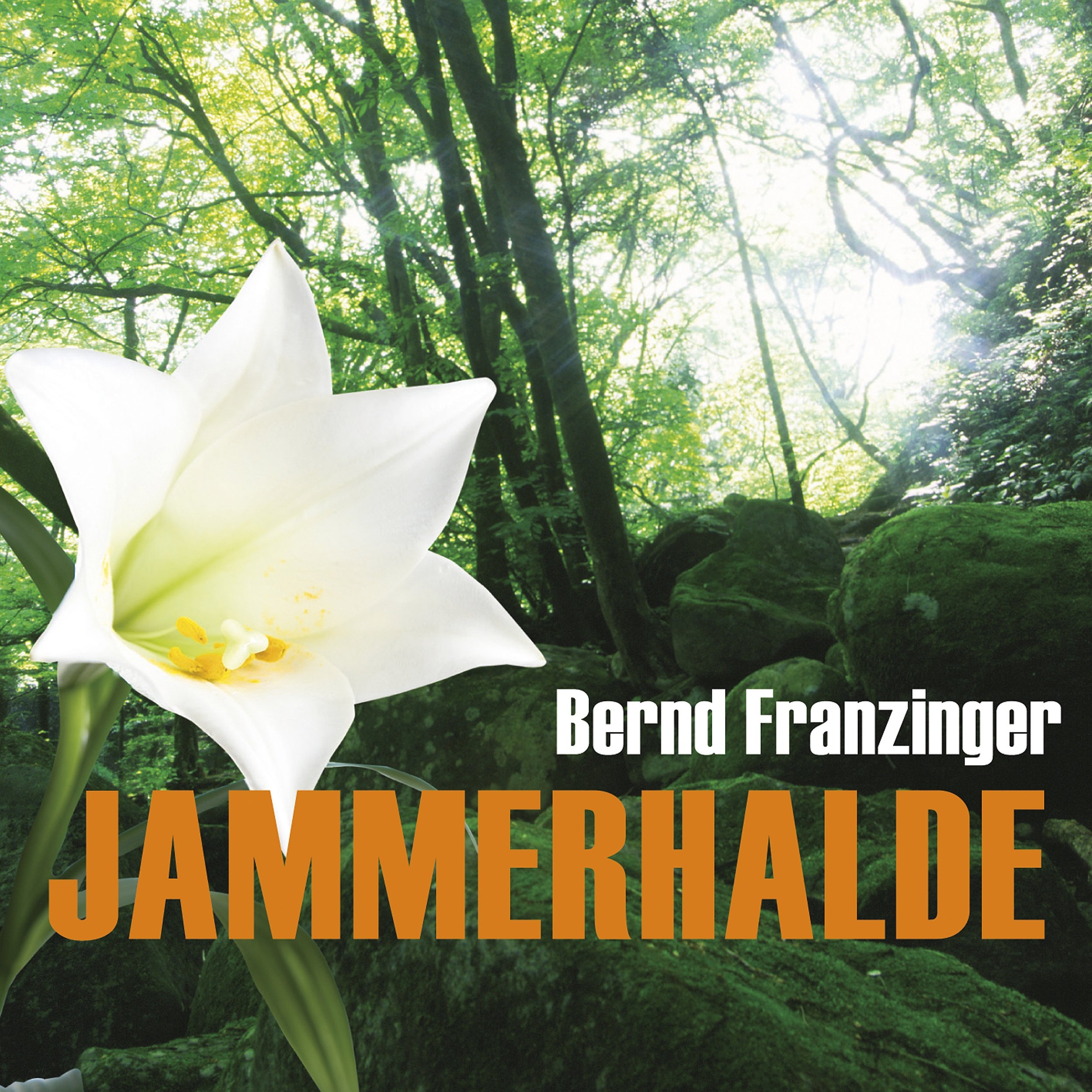Cover art for Jammerhalde