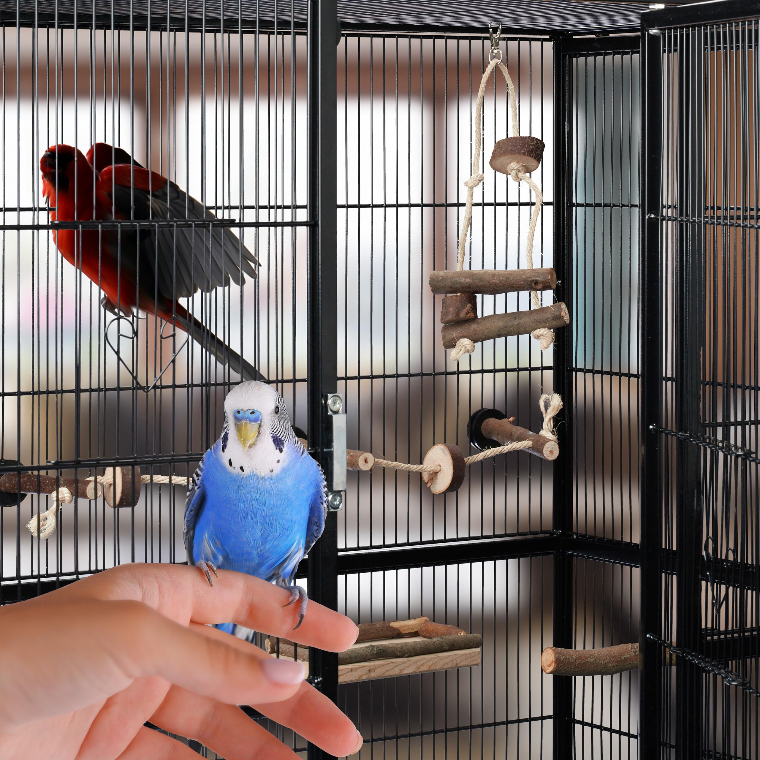 fayarrd Vogelkooi Speelgoed - Vogel Zitring Schommel Accessoires