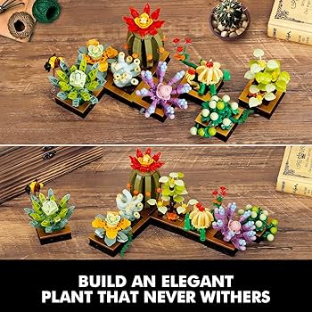 VKOL Succulents Plant Decor Building Kit, Build a Succulents