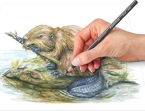 Miniatura 5 de STAEDTLER - Lápices de grafito tintados solubles en agua, juego de artista de acuarela, pre-afilados, 12 colores en estuche de metal, 14610T M12