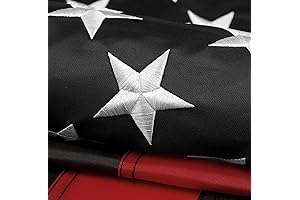 DANF Thin Red Line Flag 3x5 - A Beacon of Valor and Respect