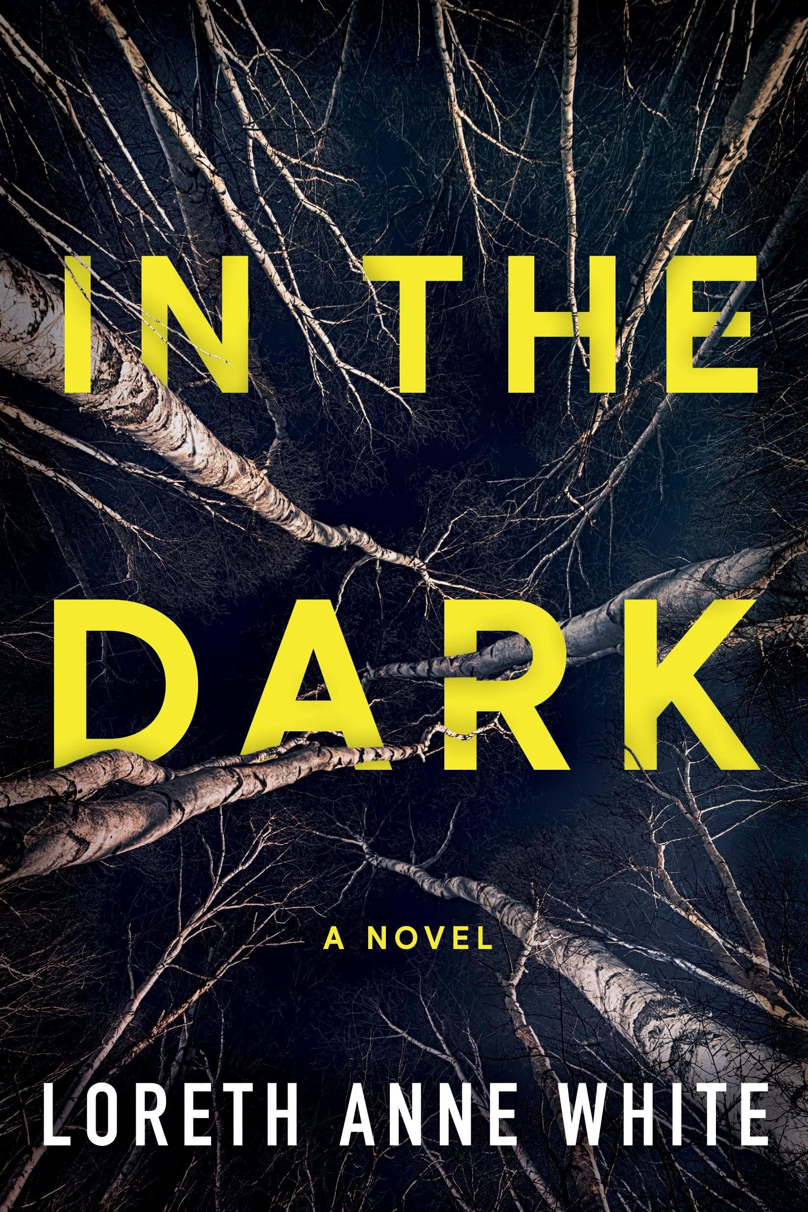 Montlake Romance In the Dark