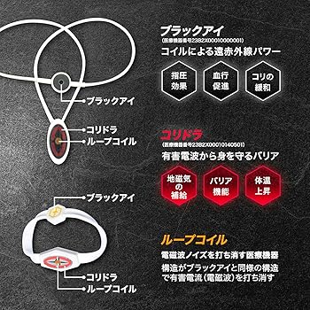 武尊専用 武尊 3階級制覇限定モデル ZAAP ネックレス - メルカリ