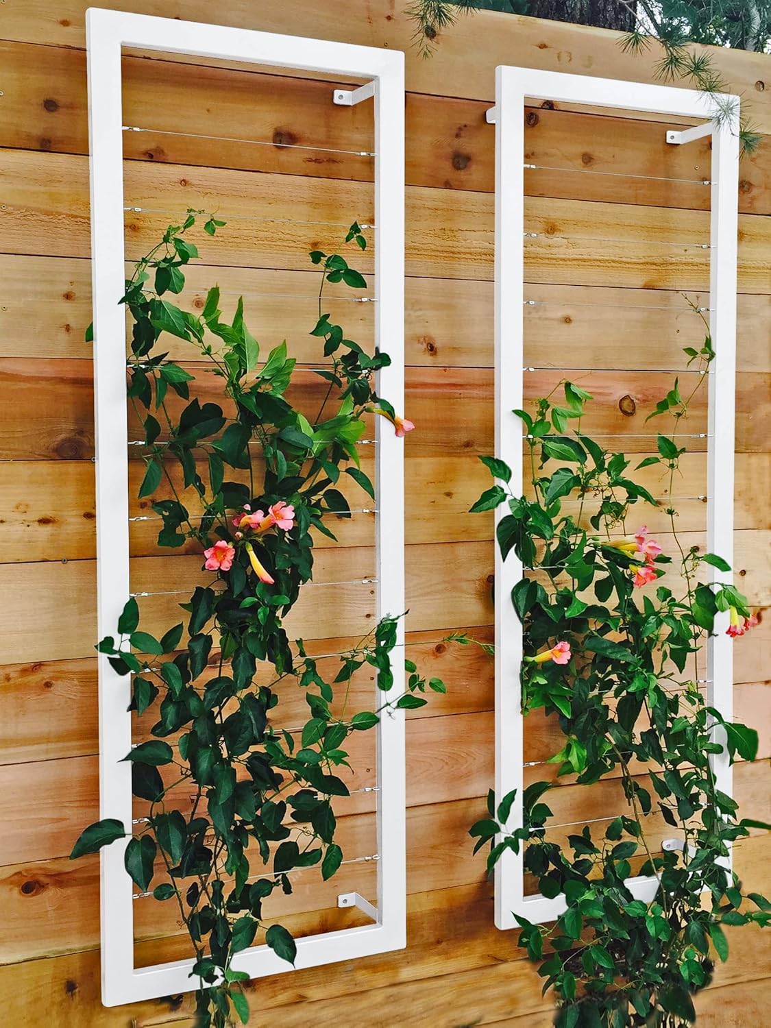 Ina Modern Wall Trellis for Outdoor Plants | Garden and Home Climbing Vines Wall Trellis | Modern, Steel & Durable | Large (Cloud)