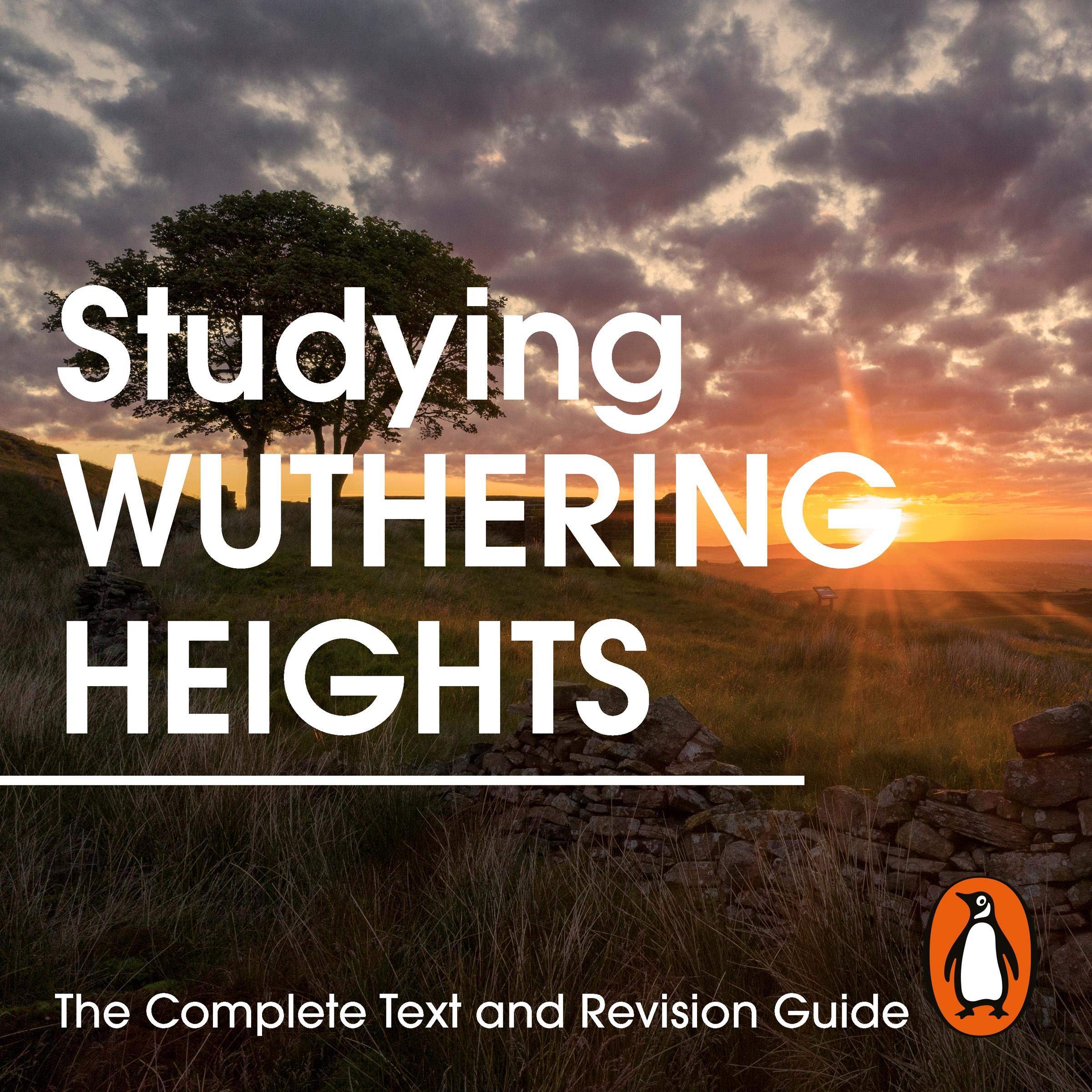Cover art for Studying Wuthering Heights: The Complete Text and Revision Guide