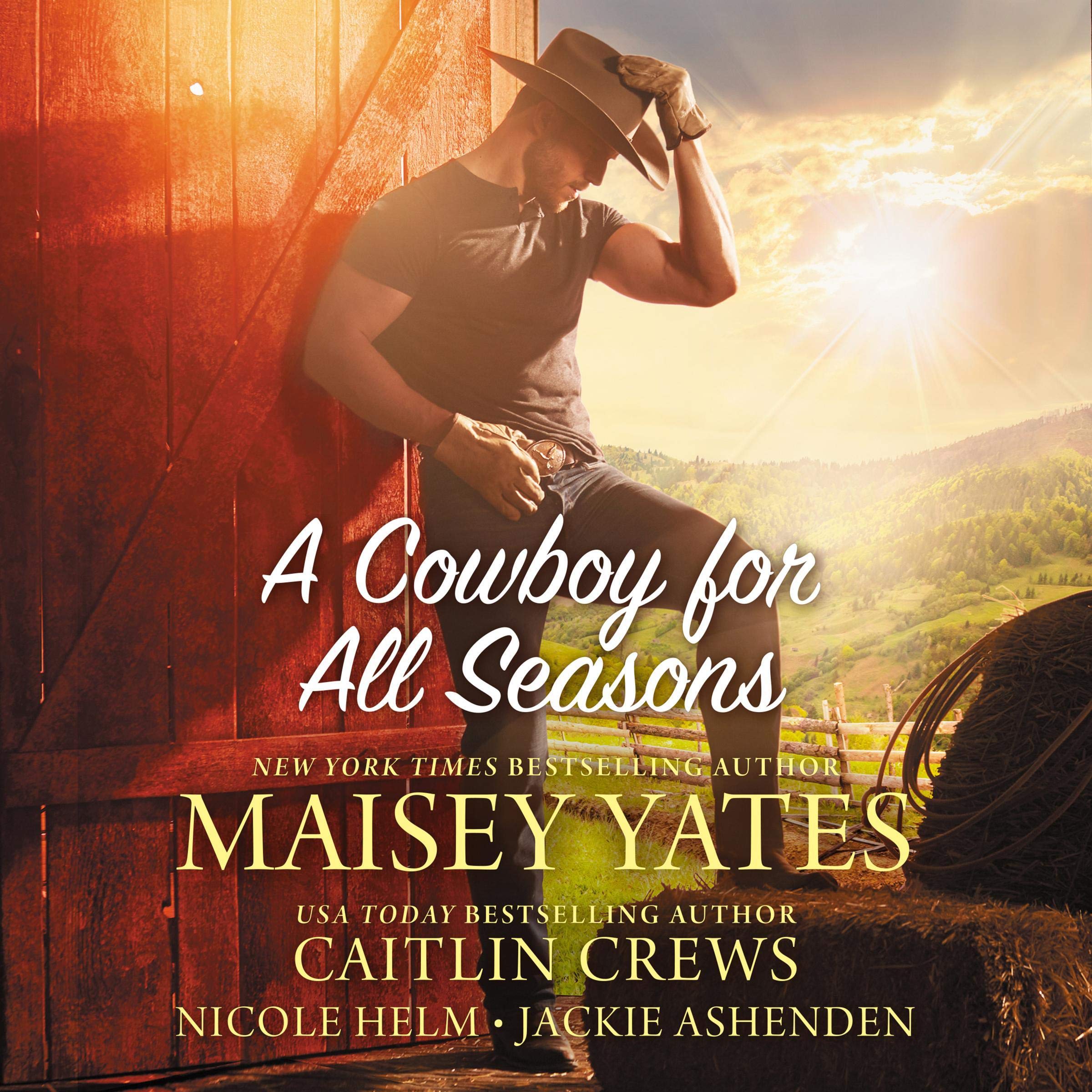Cover art for A Cowboy for All Seasons