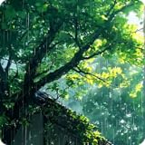 Fire TVのための豪雨