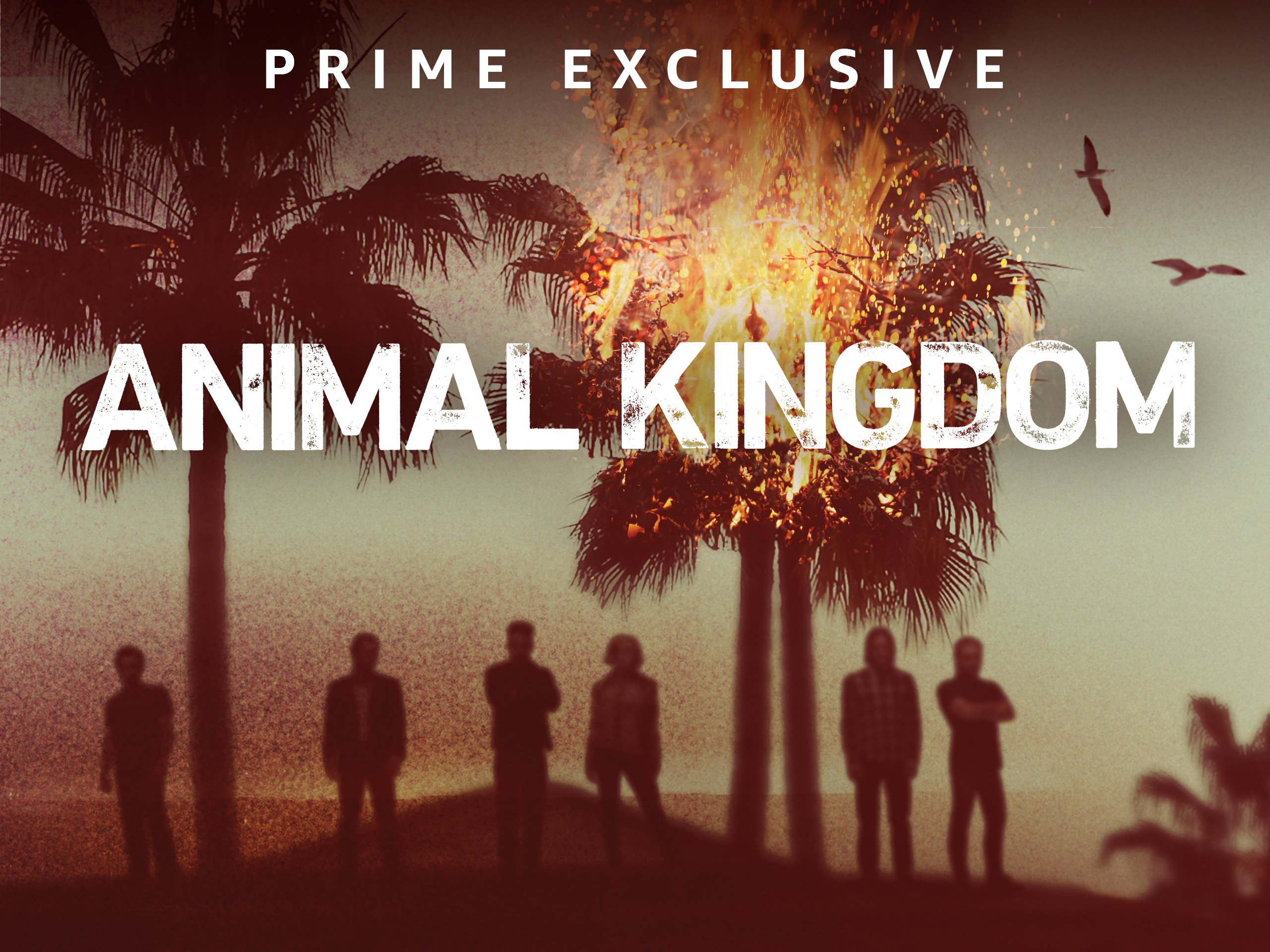 Animal Kingdom (TV Series)