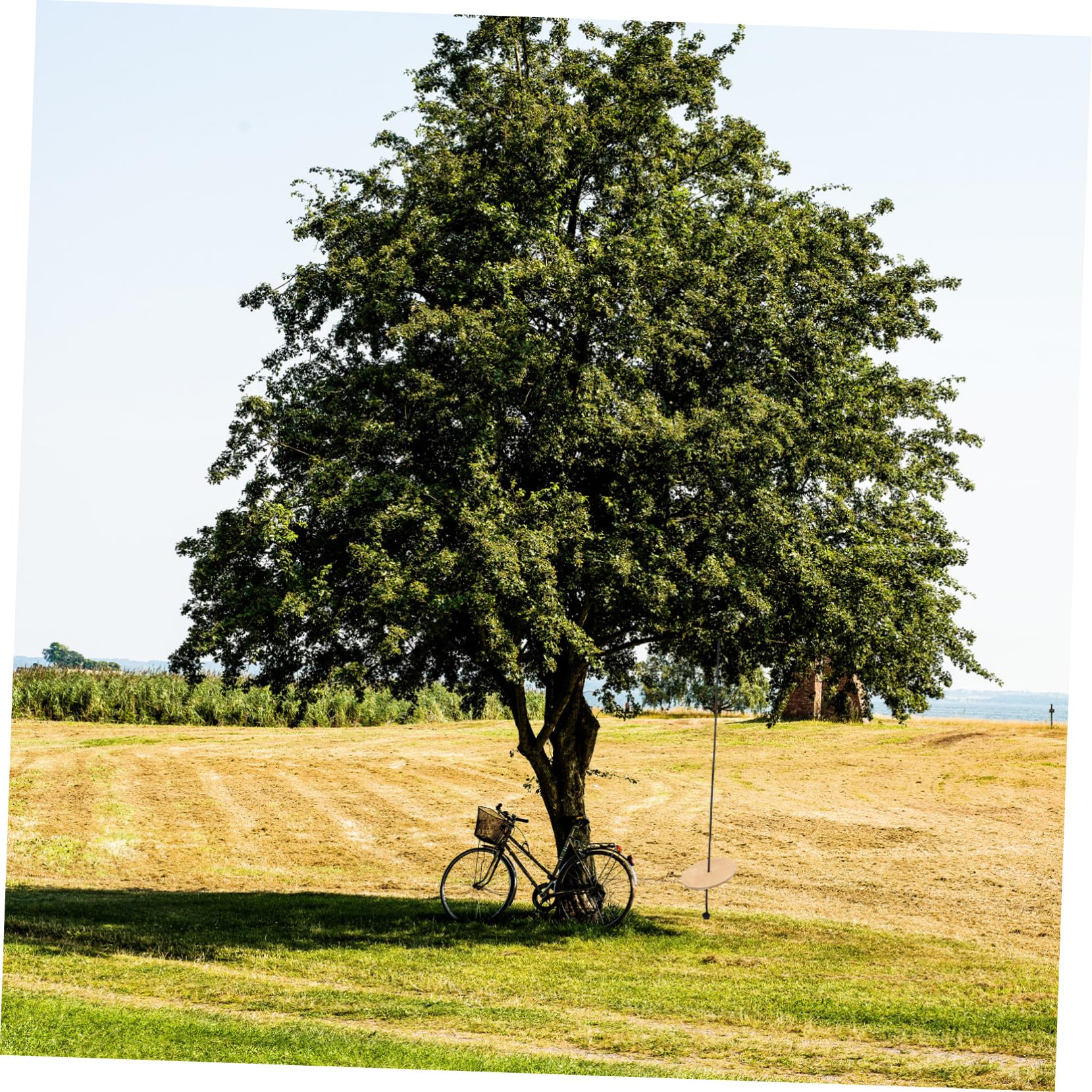 Vaguelly High-Strength Outdoor Wooden Swing for Kids Toddler Rope Swing for Tree Kids Equipment