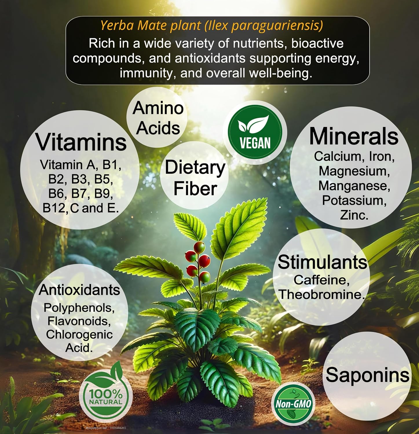 Premium Quality Yerba Mate Tea Powder – 100% Pure 10:1 Extract for Clean Energy, Focus, Metabolism & Heart Health. Antioxidant-rich, Vegan, Non-GMO, Unroasted & Unflavored. 150g (60 servings)